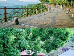 -东莞观音山旅游风景区