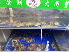 -阳澄湖大闸蟹·琼灵阁牌品牌连锁(吴中总店)