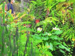 -北京植物园-展览温室