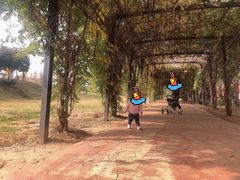 -武汉紫薇都市田园