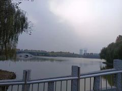 -塘沽森林公园