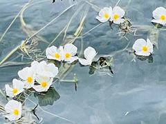 -丽江泸沽湖景区