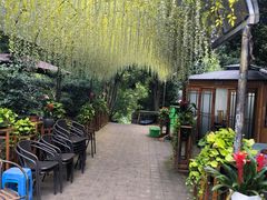 -张鸟园农家乐(张鸟园店)