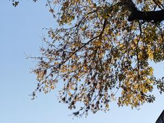-山东大学(趵突泉校区)