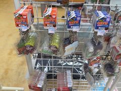 -(株)越後屋デパート