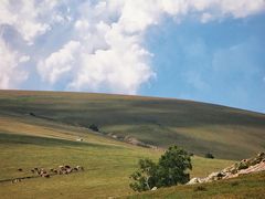 -克什克腾世界地质公园青山景区