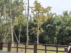 -白鹭湾湿地公园