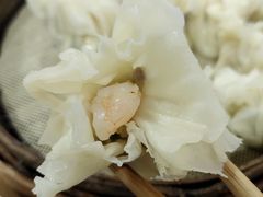 镇店鲜虾烧麦-晓友烧麦(光华村店)