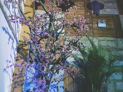-去茶去·休闲中餐(江滨店)