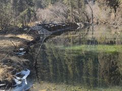 -白马王朗自然风景区