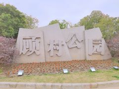 -顾村公园