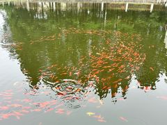 -湛山寺