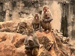 -昆明动物园