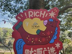 -广州市帽峰山景区