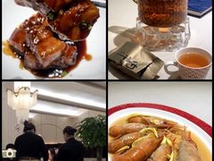 -圆苑(静安寺店)