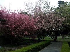 android_upload_pic-南通博物苑-崇川人民公园