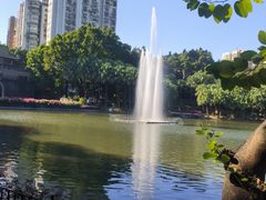 -晓港公园