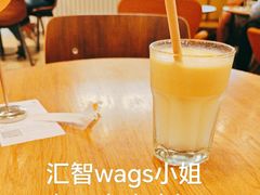 -Wagas沃歌斯(汇智店)