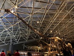 -世界恐龙谷景区