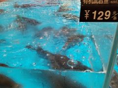 -艳阳天·非遗楚菜(武汉客厅店)