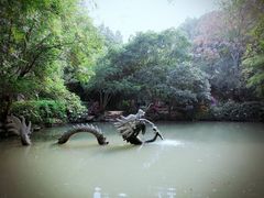 -汇龙潭