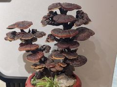 -卢小厨私房菜(长兴店)