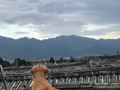 -浔岚云舍mist静谧观景美宿(丽江古城店)