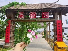 -兴芮温泉度假区