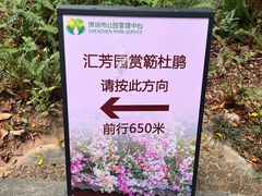 -深圳国际园林花卉博览园