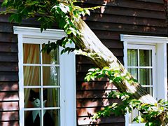 -三鹰之森吉卜力美术馆