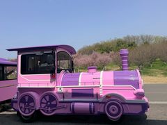 -江苏三台山国家森林公园