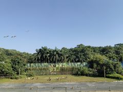 -深圳野生动物园