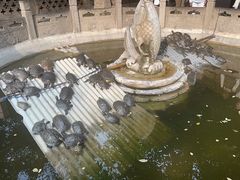 -西安大兴善寺