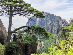 -黄山风景区
