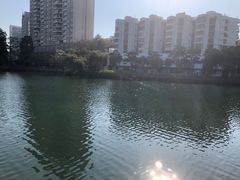 -四海公园(南山区)