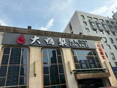 -大鸭梨烤鸭店(花园村店)