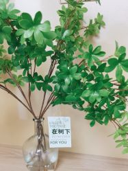 -变美丽半永久纹眉连锁·机器野生眉·洗眉