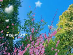 -同里国家湿地公园