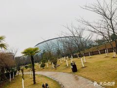 -洪湖悦兮半岛国际温泉度假村