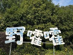 -九龙潭景区