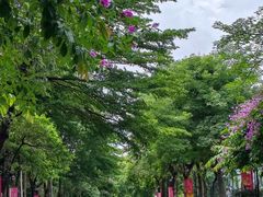 -怡海公园(桂城街道)