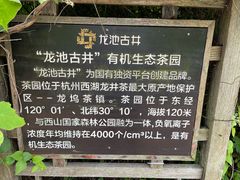 -龙坞茶村