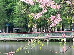 -四海公园(南山区)