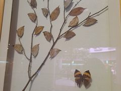 -陕西自然博物馆