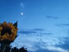 -重庆德庄火锅(体育中心店)