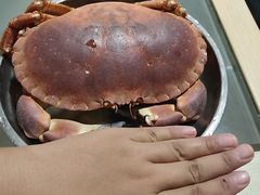 -鸿港海鲜批发市场