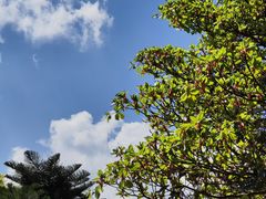 -大理古城-玉洱园