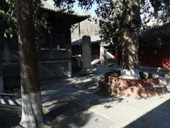 -大觉寺-停车场