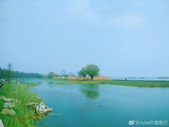 -太湖湖滨国家湿地公园-停车场