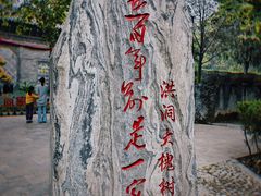 -大槐树寻根祭祖园